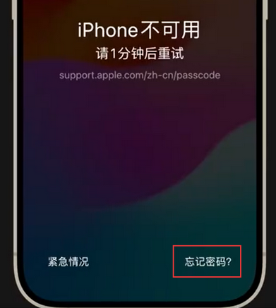 城关苹果手机密码维修分享iPhone忘记了刚设置的密码 